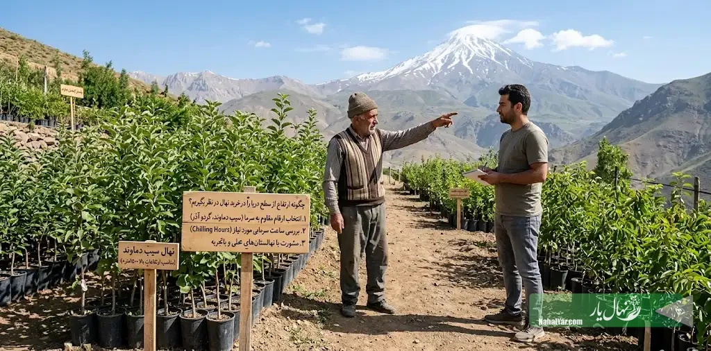 ارتفاع از سطح دریا و خرید نهال؛ تأثیر ارتفاع بر انتخاب رقم