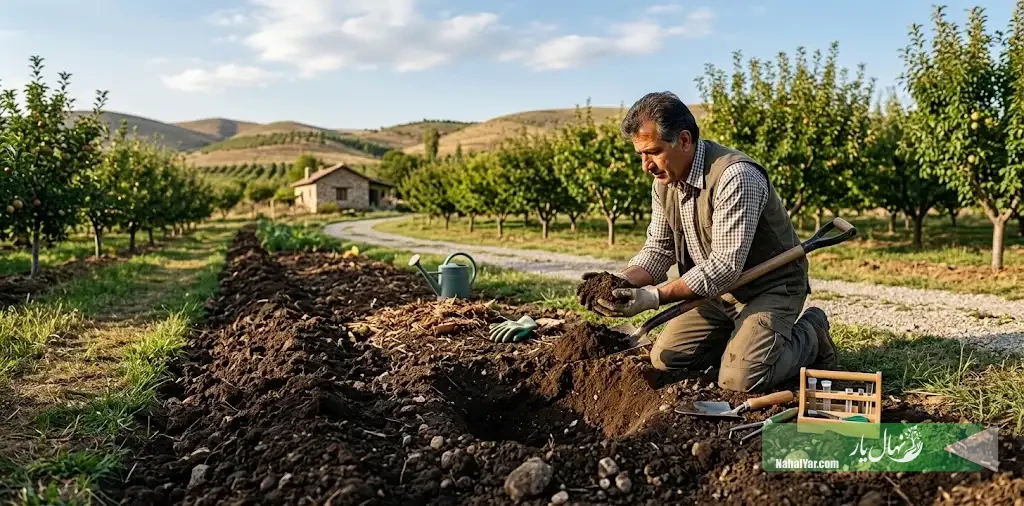 نهالیار | خاک و شرایط زمین برای درختان؛ راهنمای بررسی و آمادهسازی زمین باغ