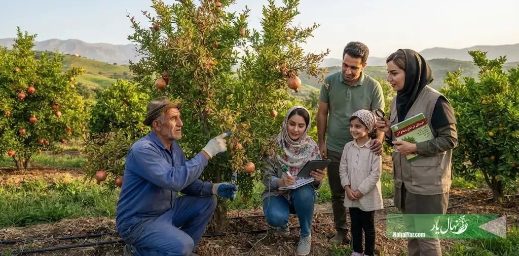 نهال‌یار | مشکلات و عیب‌یابی درختان؛ شناسایی علت و راهکارهای رفع مشکلات