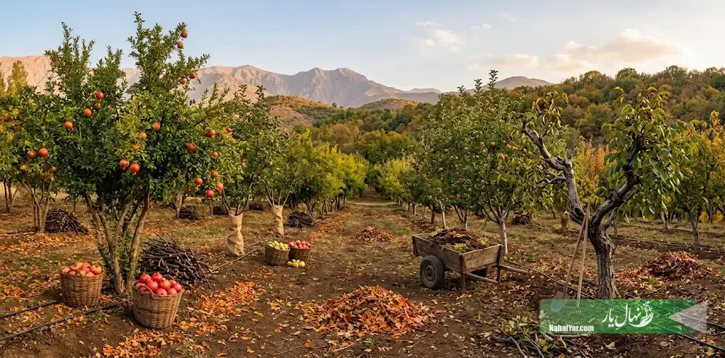 آماده‌سازی باغ برای سرمای پاییز؛ ۷ کار مهم از شهریور