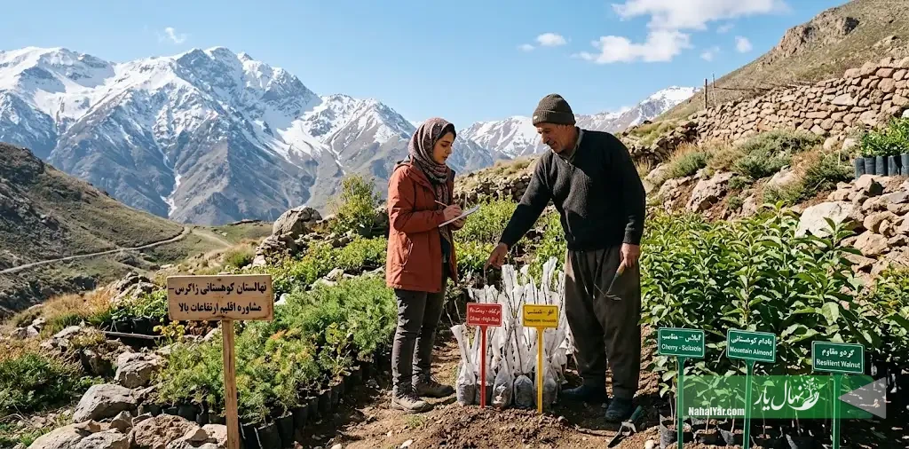 نهال‌یار | در ارتفاع بالا کاشت چه نهال‌هایی ریسک بیشتری دارند؟ راهنمای بررسی اقلیم قبل از خرید نهال