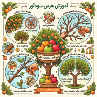 نهال‌یار | آموزش هرس سودآور درختان